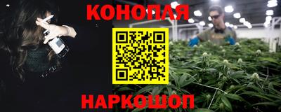 стафф Донецк