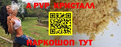 стафф Донецк