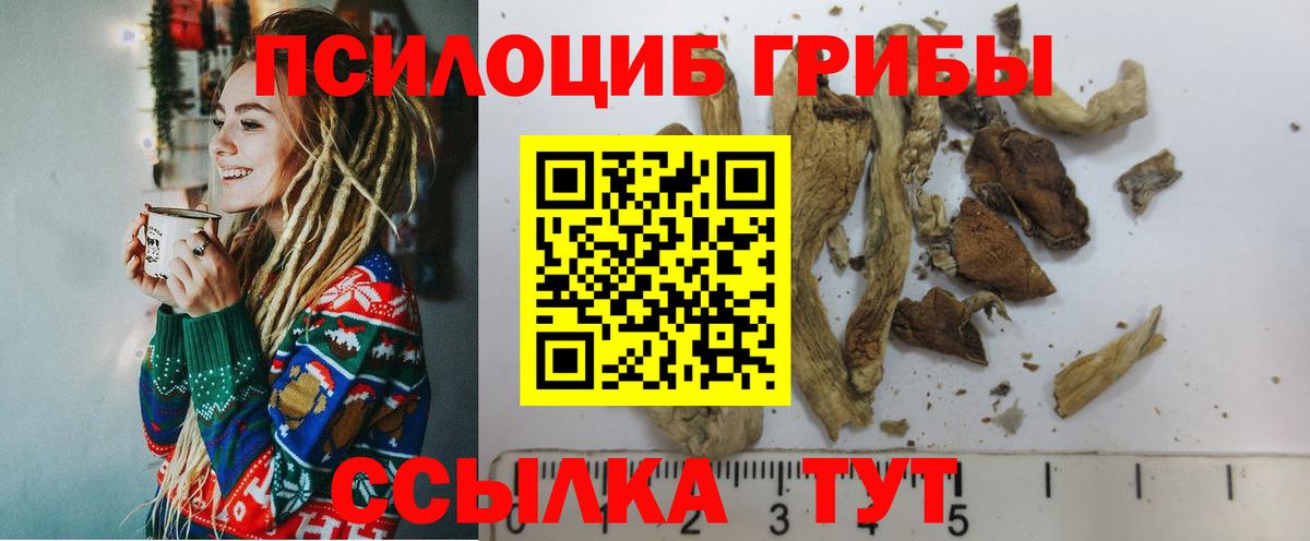Каспийск  Галлюциногенные грибы ЛСД  Вход с VPN 
