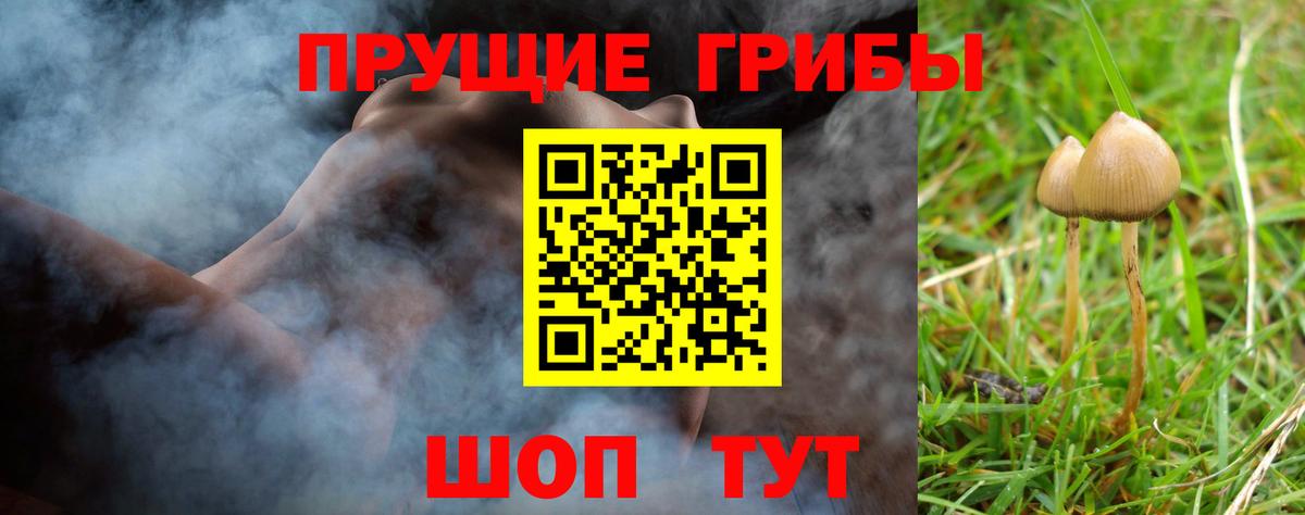 Псилоцибиновые грибы мухоморы Каспийск